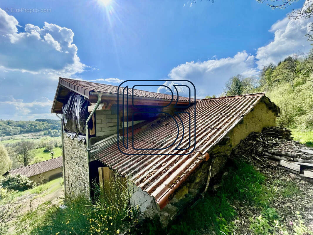Maison à SAINT-MARTIN-DES-OLMES