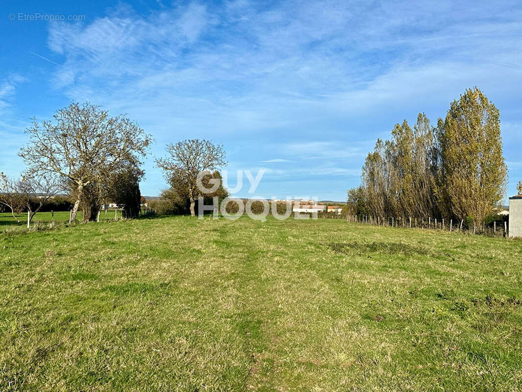 Terrain à AUZAY