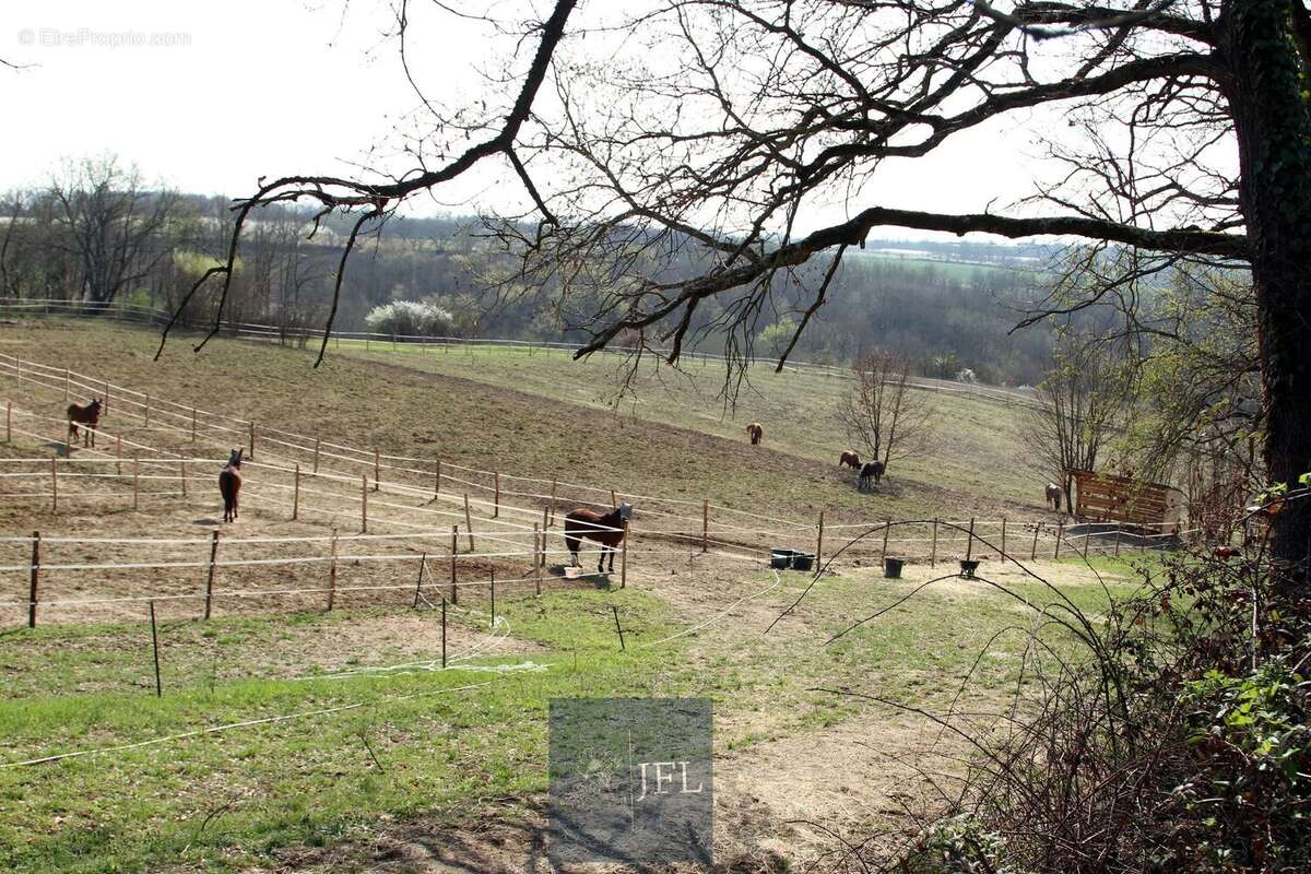 n°2 - Maison à MOISSAC