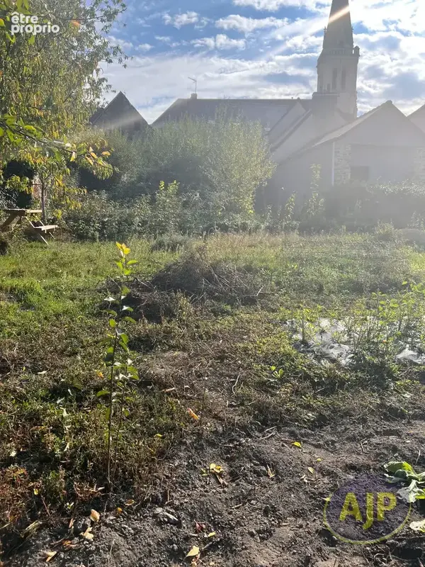 Sainte Gemmes d'Andigné - photo 5