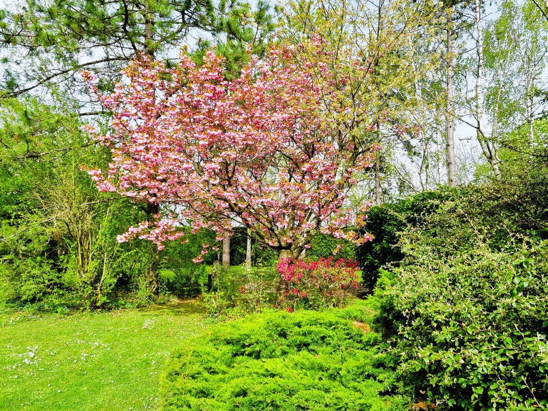 Maison à VILLENNES-SUR-SEINE