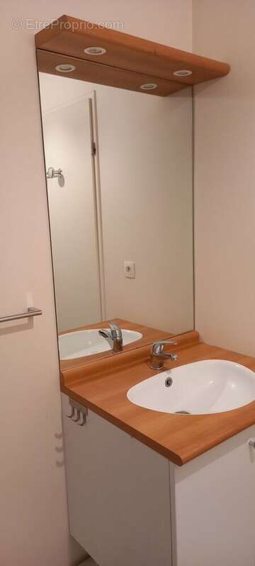 SDB - Appartement à SAINT-SEBASTIEN-SUR-LOIRE