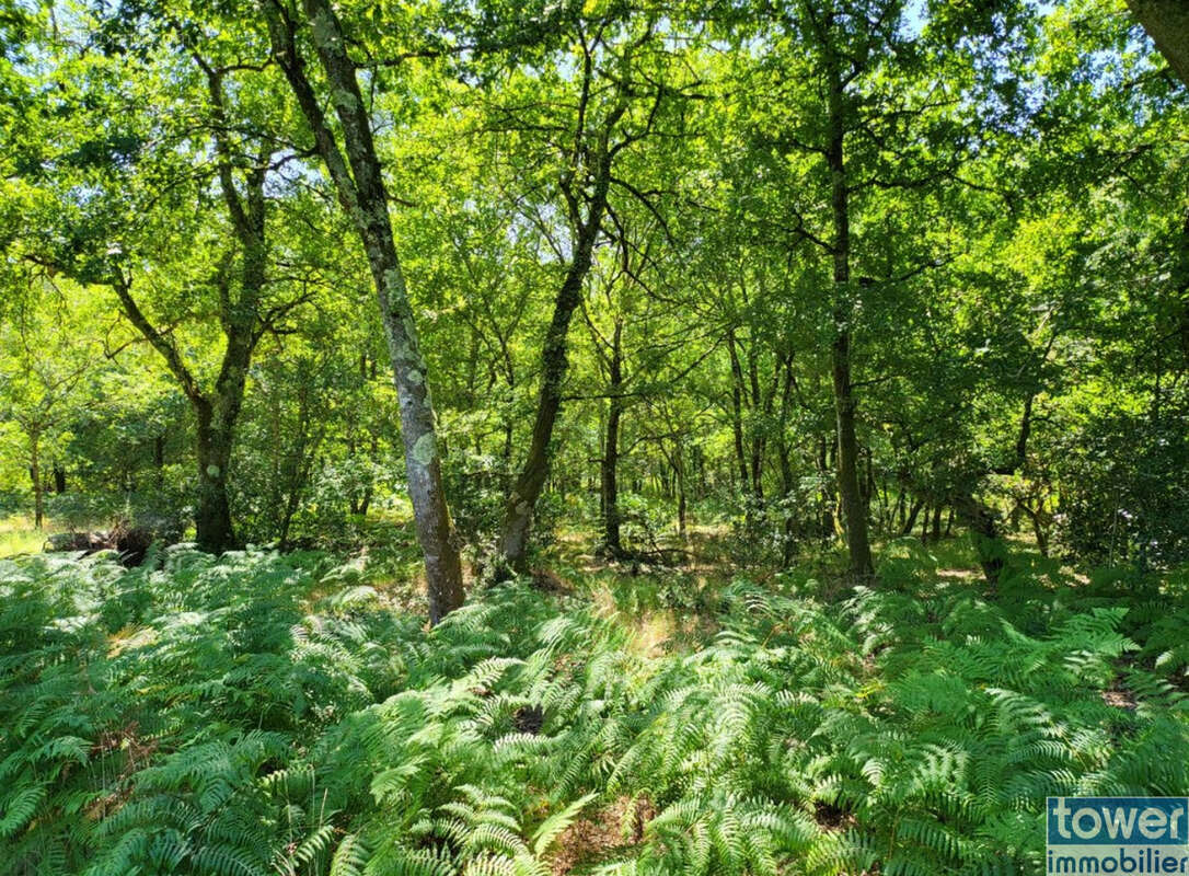 Propriété d'exception à sabres-maison rénovée-9,5 hectares - photo 2