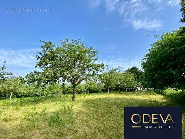 Terrain à CONDE-SUR-VIRE