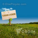 Terrain à CHEVANNES