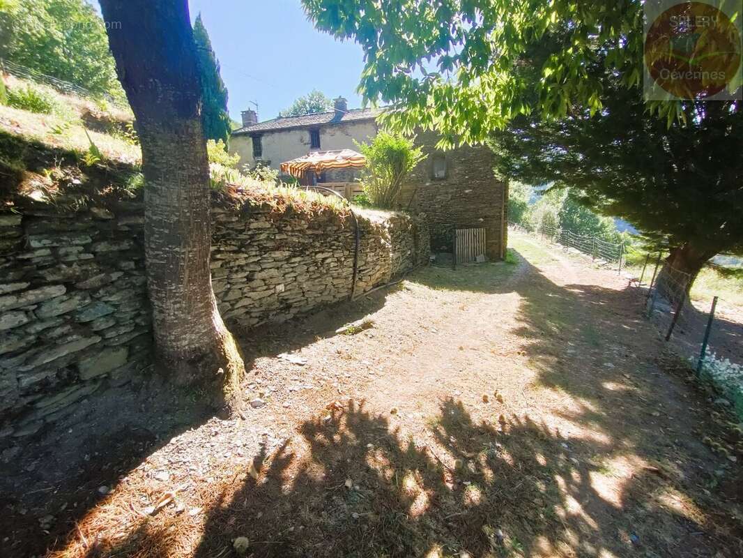 Mas cévenol - photo 16
