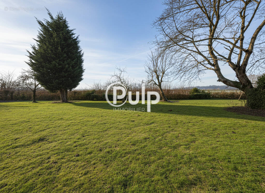 Terrain à FLINES-LEZ-RACHES