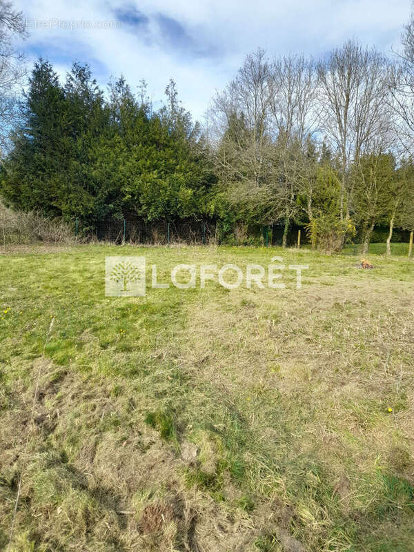 Terrain à CARENTOIR