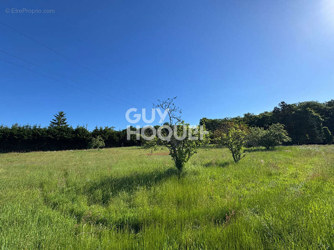Maison avec grand terrain - BOURTH - photo 15