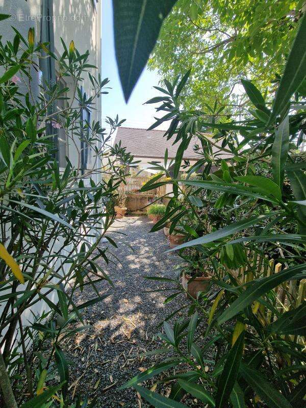 Exclusivité. Opportunité rare Maison 4 chambres entre le  Quartier des oiseaux et le Quartier Benoît - photo 16