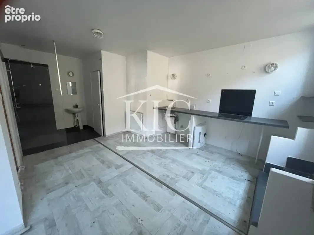 Carcassonne vue cité médiévale - ensemble immobilier 295 m2 - 4 logements indépendants - photo 3