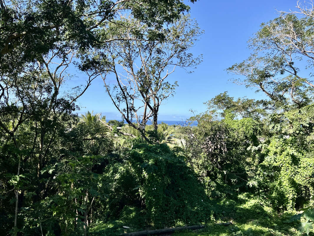 Maison à SAINT-JOSEPH