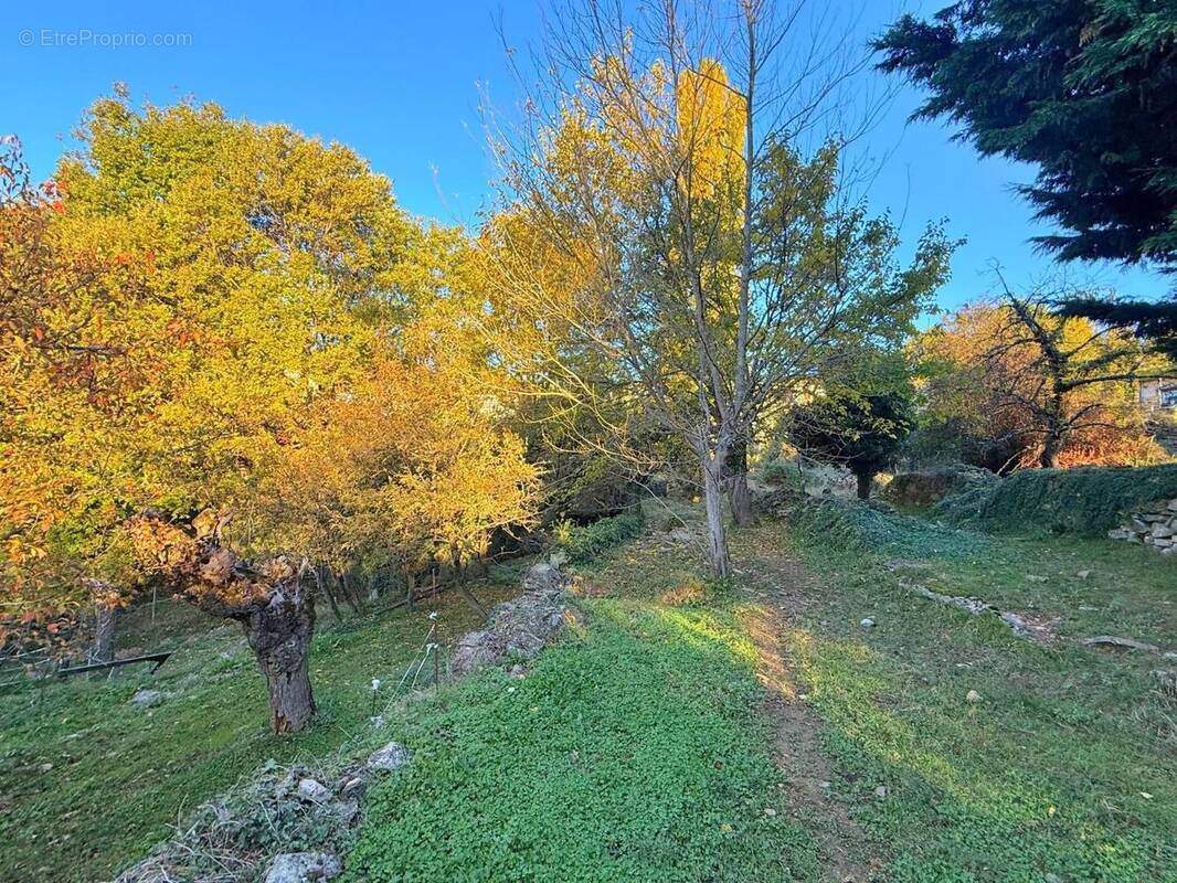   - Terrain à VESSEAUX