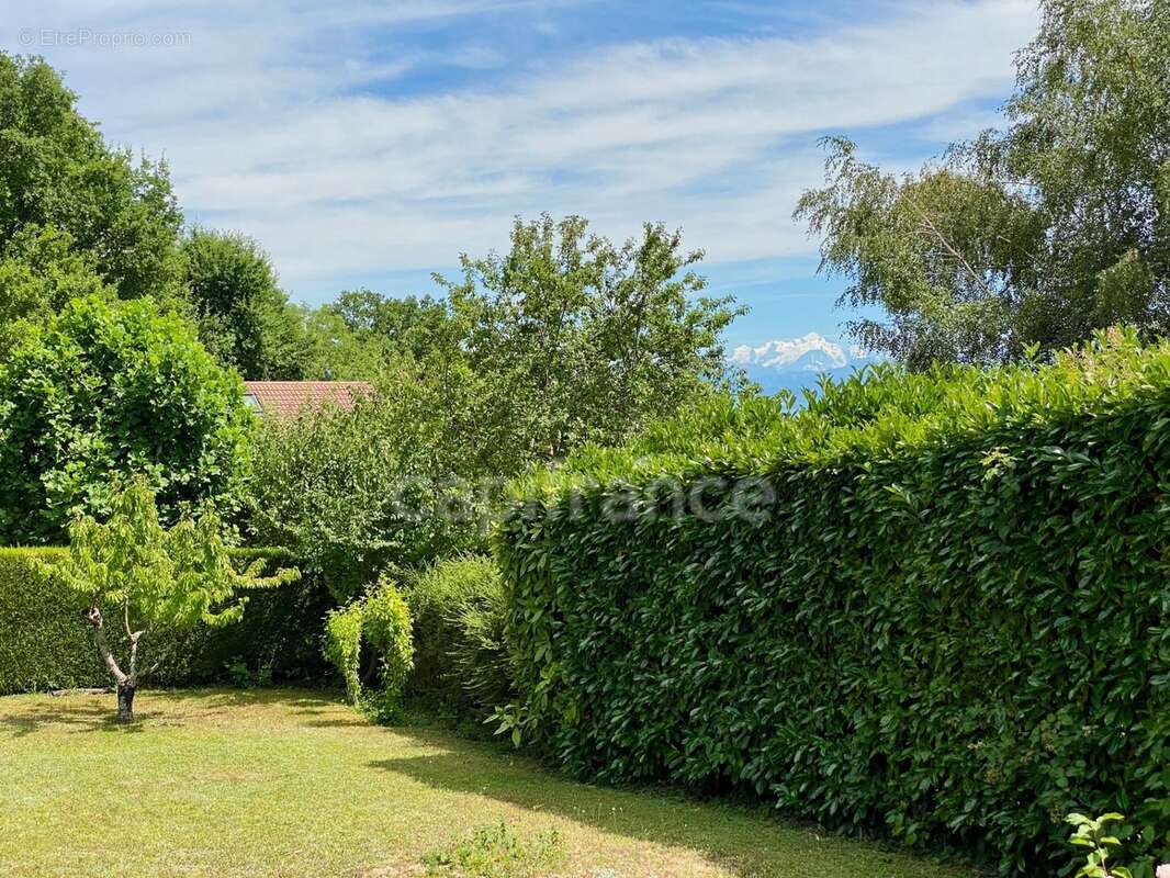 Maison à vendre 6 pièces ECHENEVEX (01) - photo 2