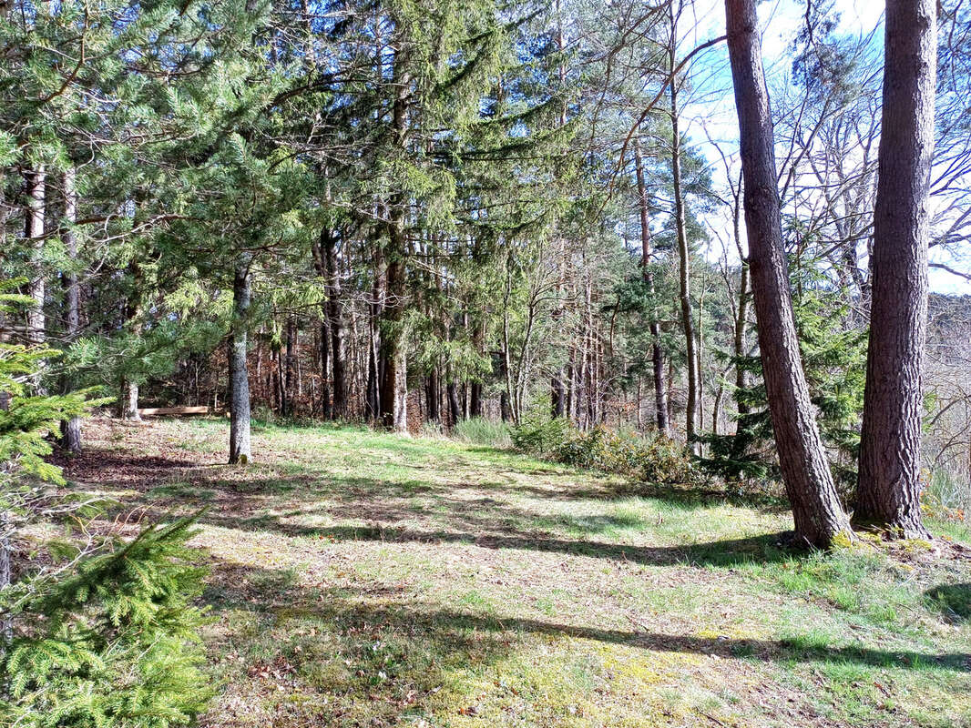 Terrain à SAINT-GEORGES-LAGRICOL