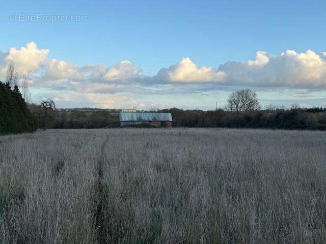 Terrain à SAINT-GERMAIN-D&#039;AUNAY