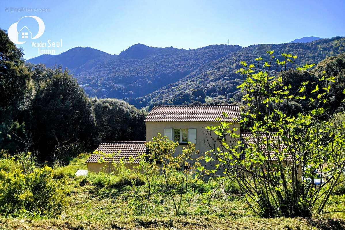 Maison à ECCICA-SUARELLA