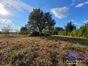 Terrain à CHASSIGNOLLES