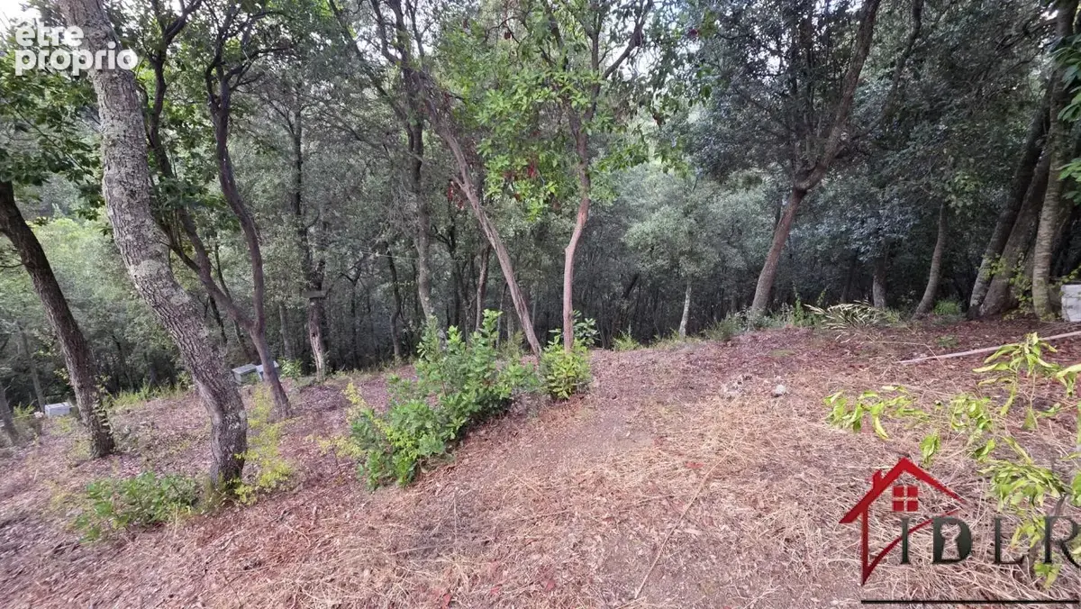 Terrain à batir arboré de 1500 m2  à ALATA - photo 2