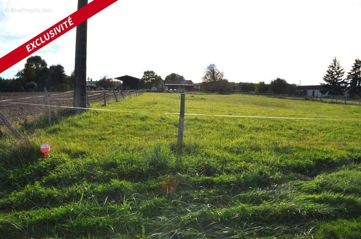 Terrain à ECOYEUX
