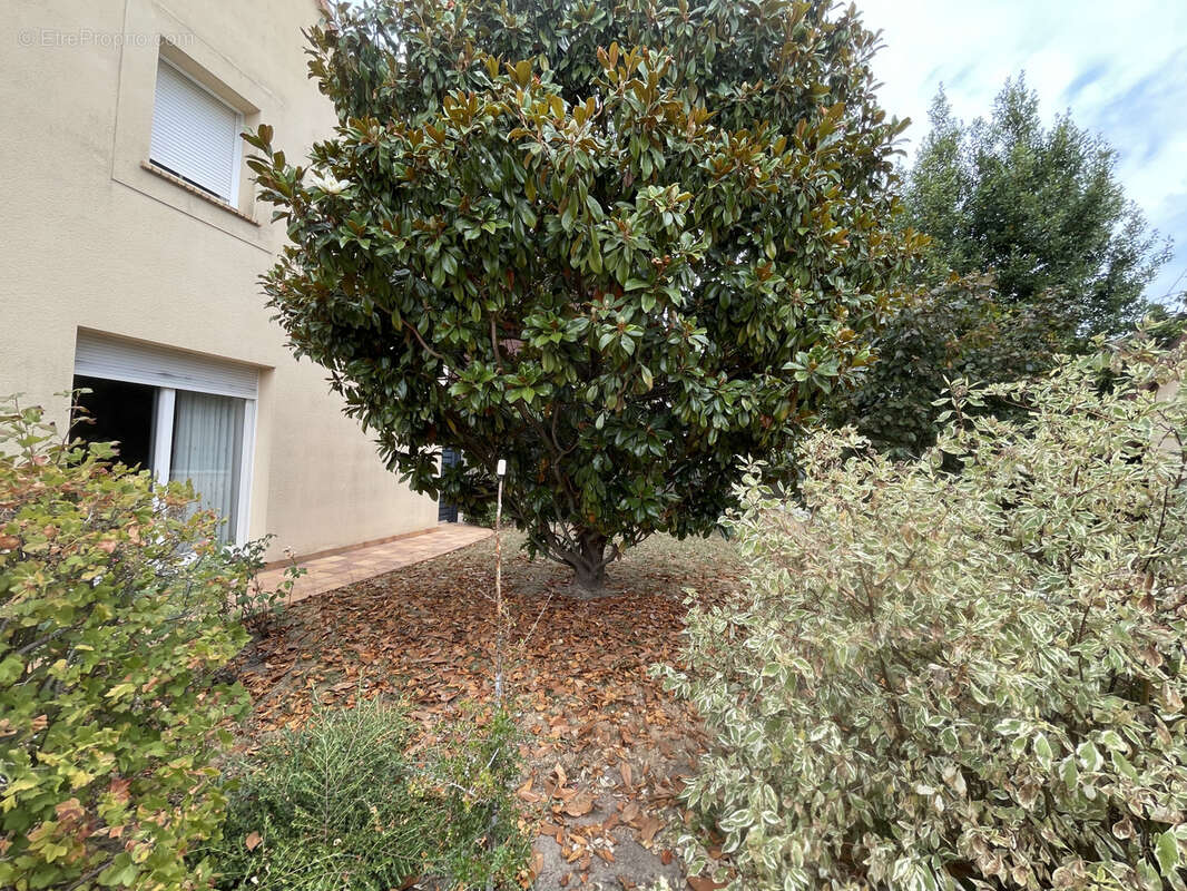 Maison Le Mans - photo 3