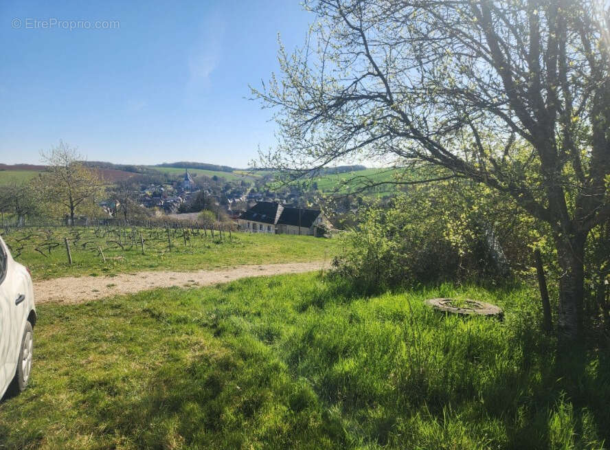 Terrain 4200 m2 Saint-Mards-en-othe. - photo 3