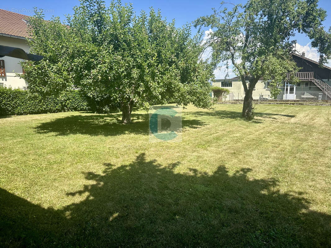 Terrain à SAINT-PIERRE-EN-FAUCIGNY