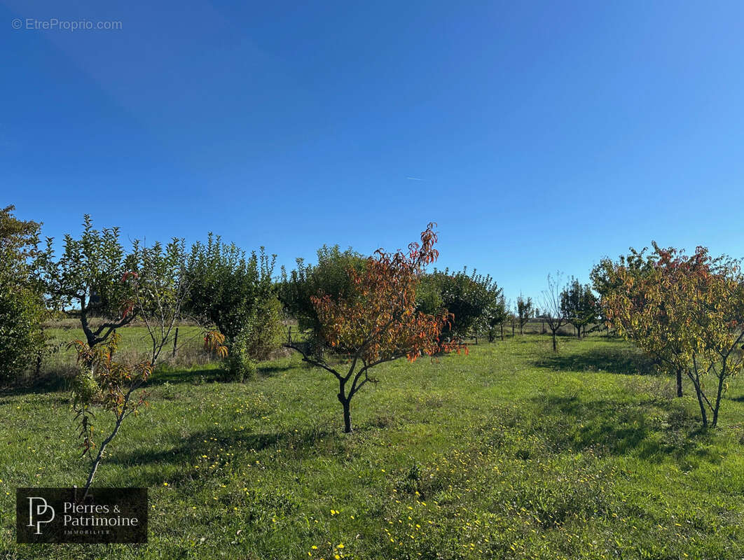 Maison à MAUVEZIN-SUR-GUPIE