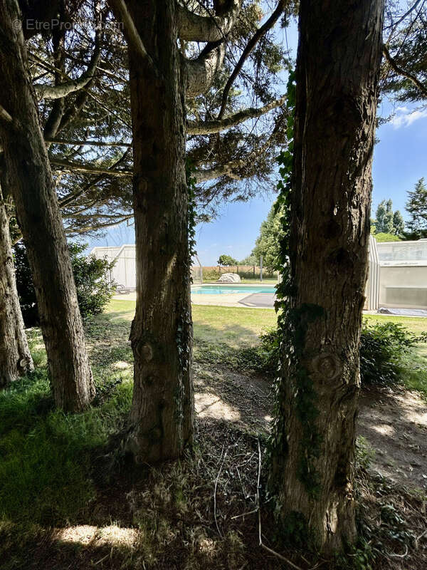 Maison à BEAULIEU-SUR-LOIRE