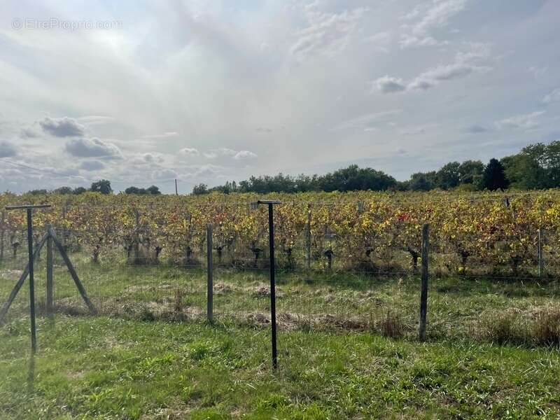 Maison à CARIGNAN-DE-BORDEAUX
