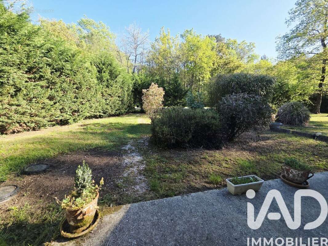 Photo 3 - Maison à LESPARRE-MEDOC