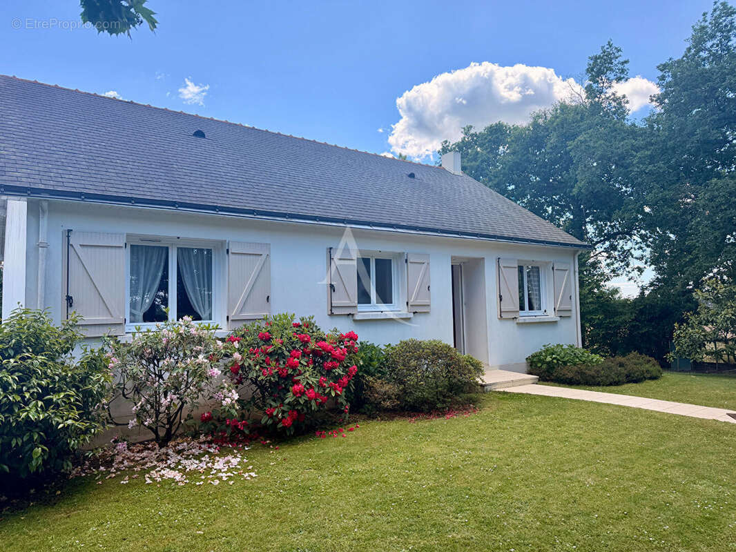 Maison à NOZAY