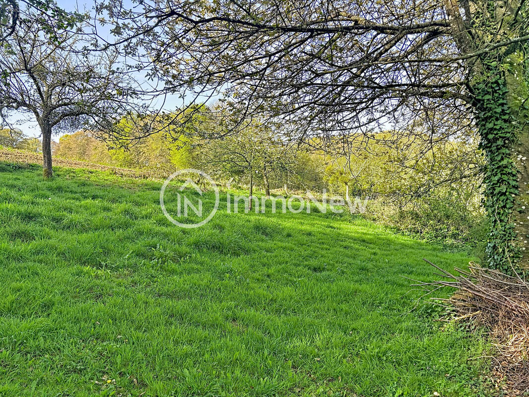 Belle maison pierre annees 1700  de 190 m2 environ sur terrain 1,8 hectare environ - photo 23
