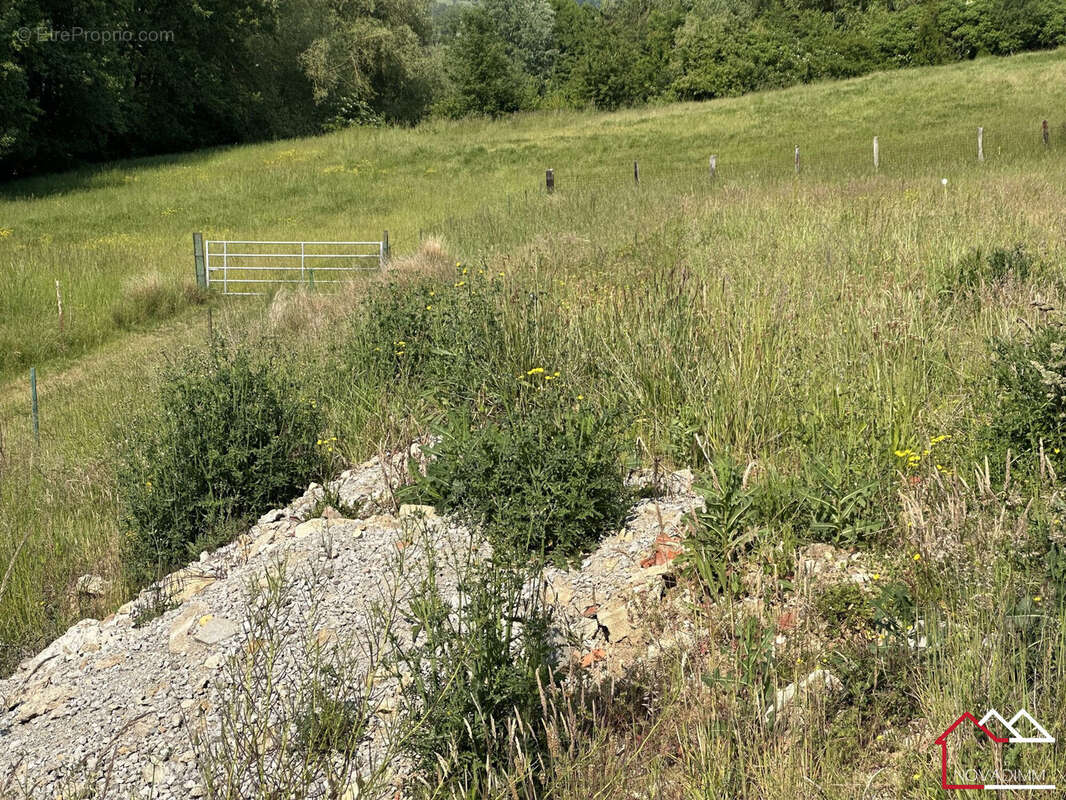 Terrain à MAIZEROY