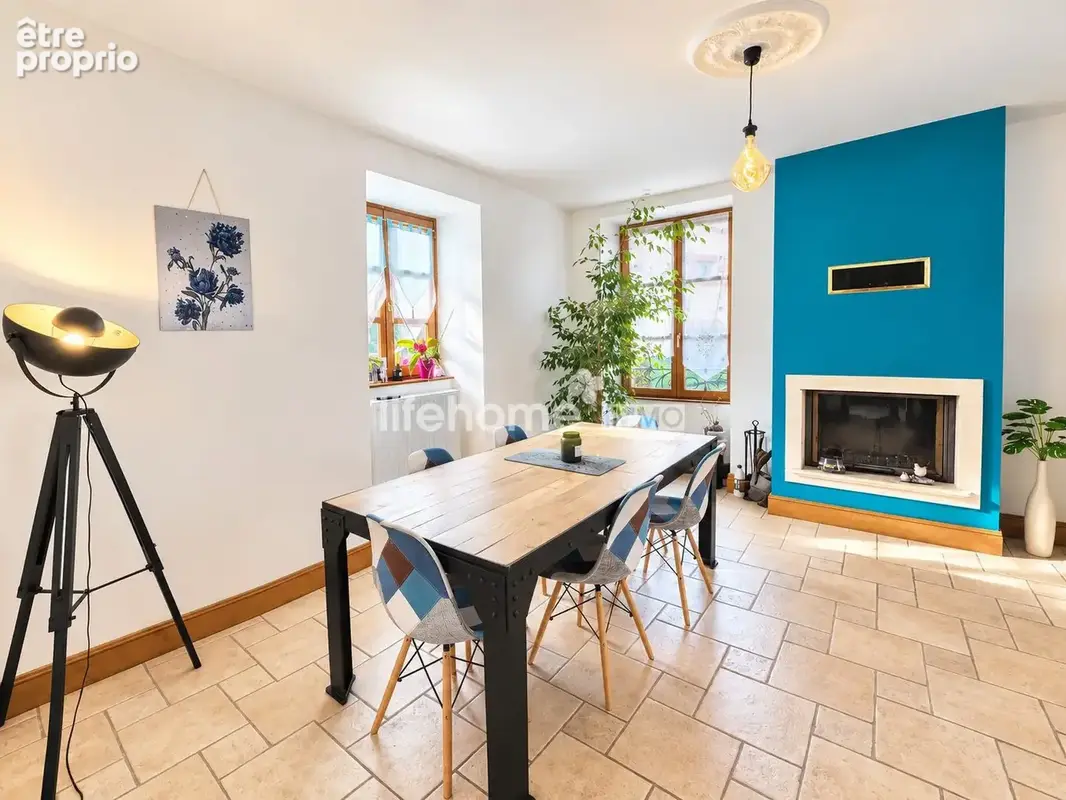 Maison 7 pièces 190 m² à vendre à Villedieu-Sur-Indre (36320) - photo 1