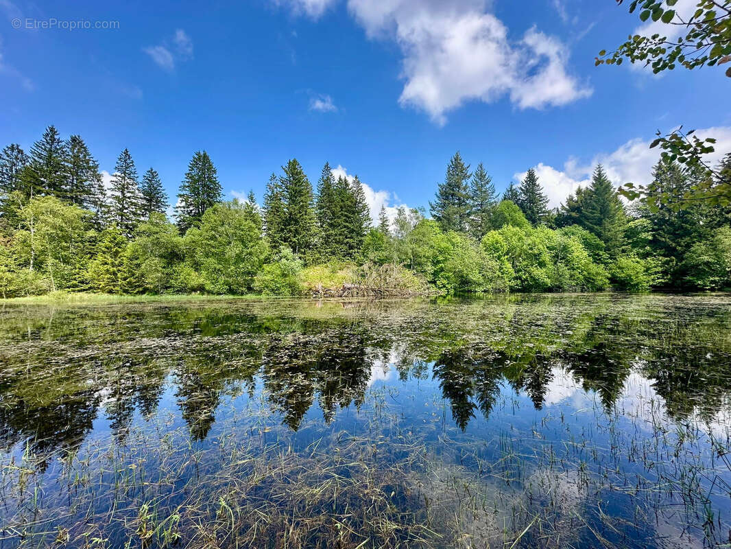 Maison à RAMONCHAMP