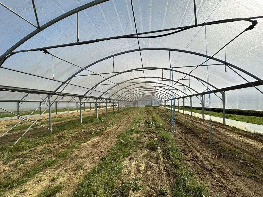 Commerce à PUYDARRIEUX