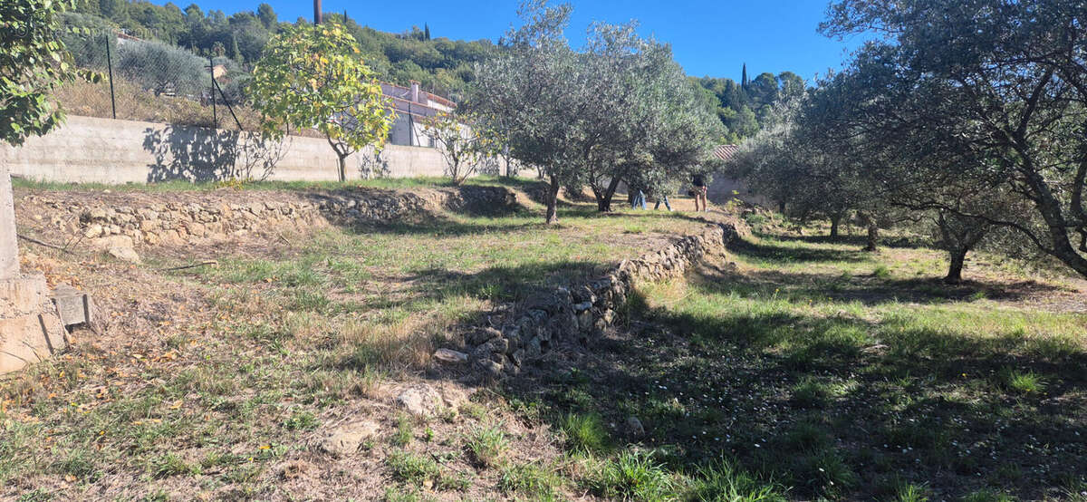 Terrain à MONTAUROUX