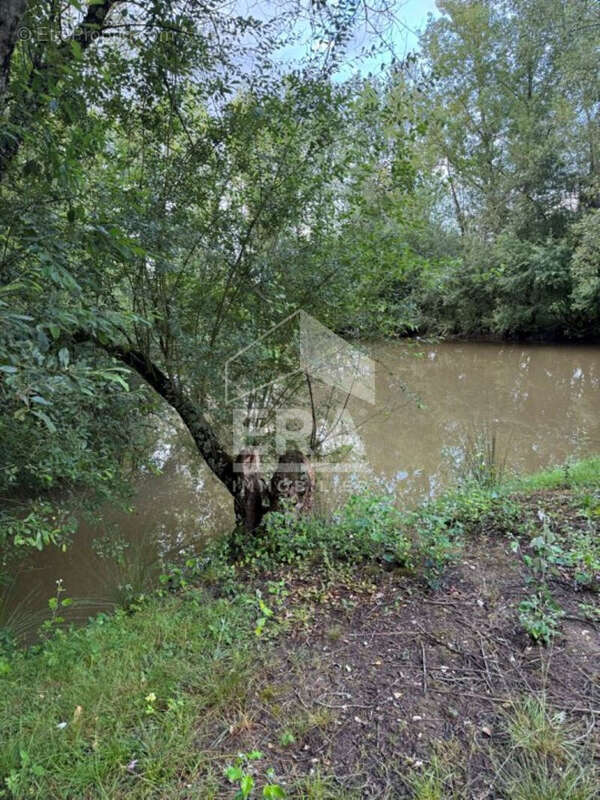 Terrain à MENESPLET