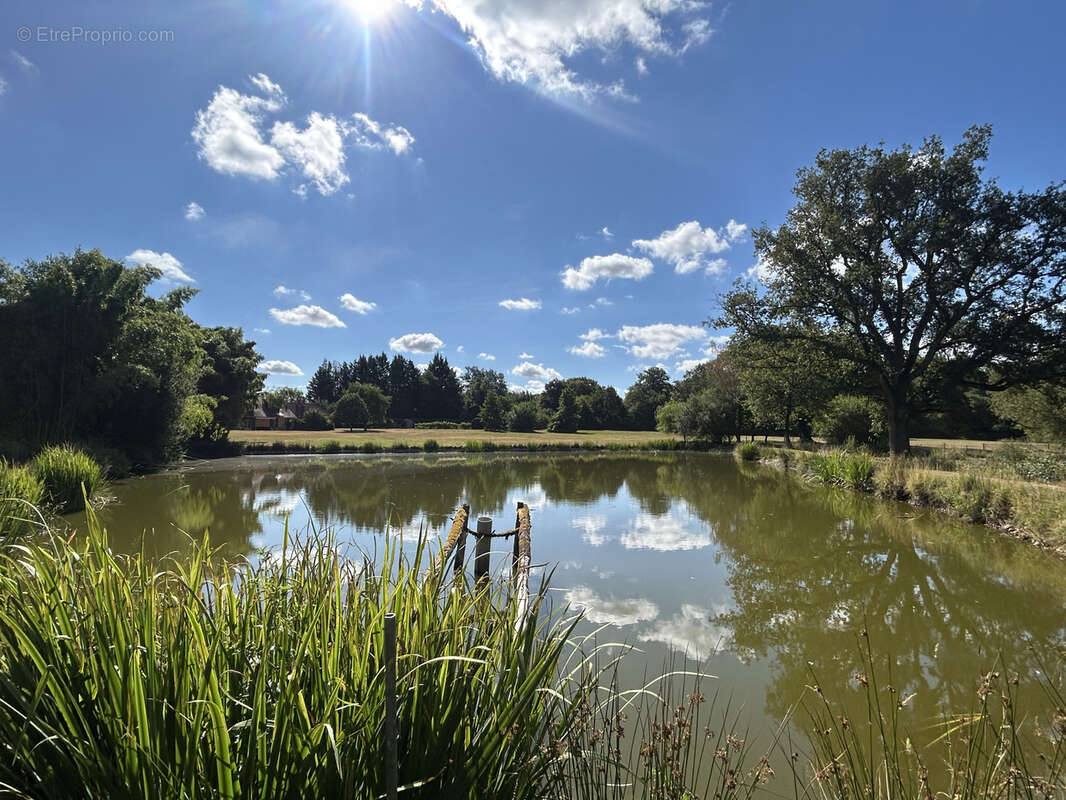 Propriété 2,2 ha avec étang, ancien corps de ferme, parc aboré, prairie - photo 3