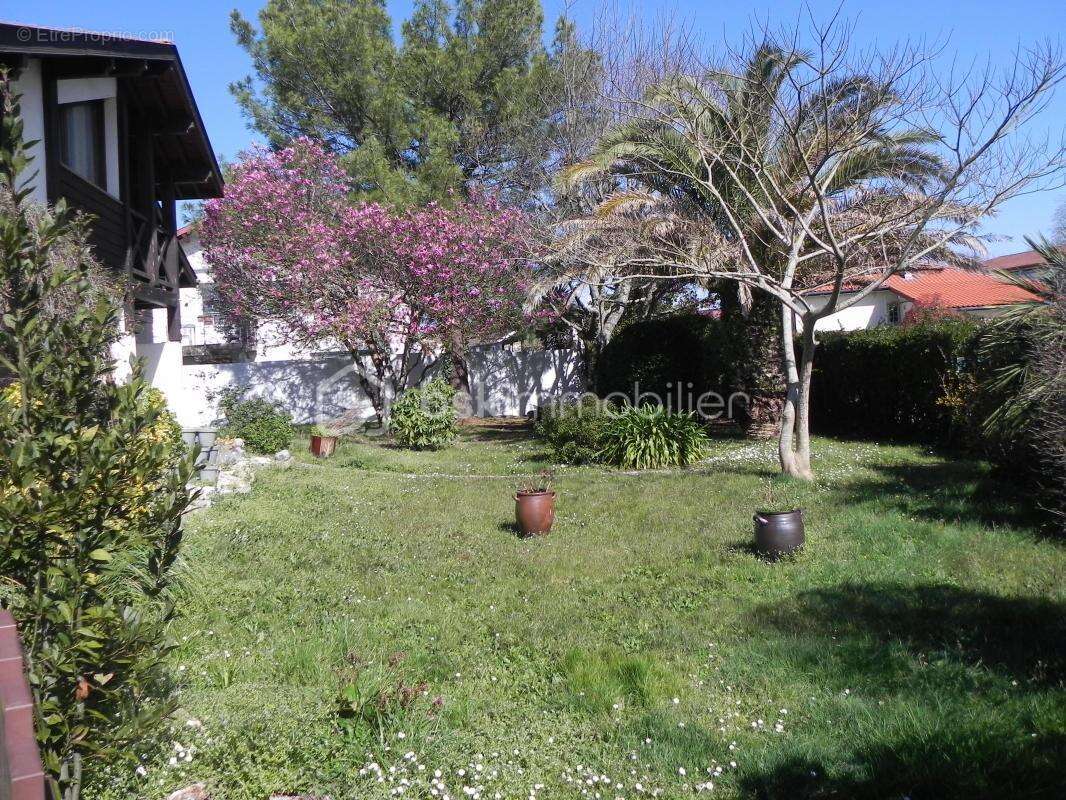 Maison à SAINT-VINCENT-DE-TYROSSE