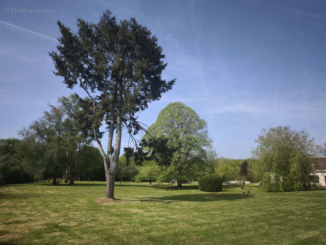 Charmante maison avec grand terrain à Rivarennes (36) - photo 3