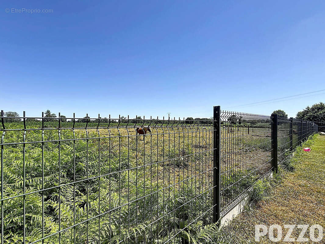 Maison Champcervon 6 pièce(s) 174.45 m2 - photo 2