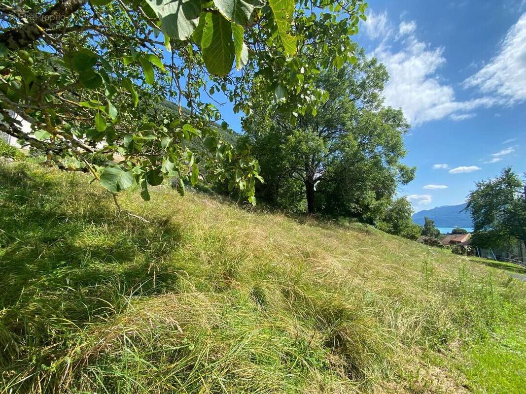 Terrain à CHINDRIEUX