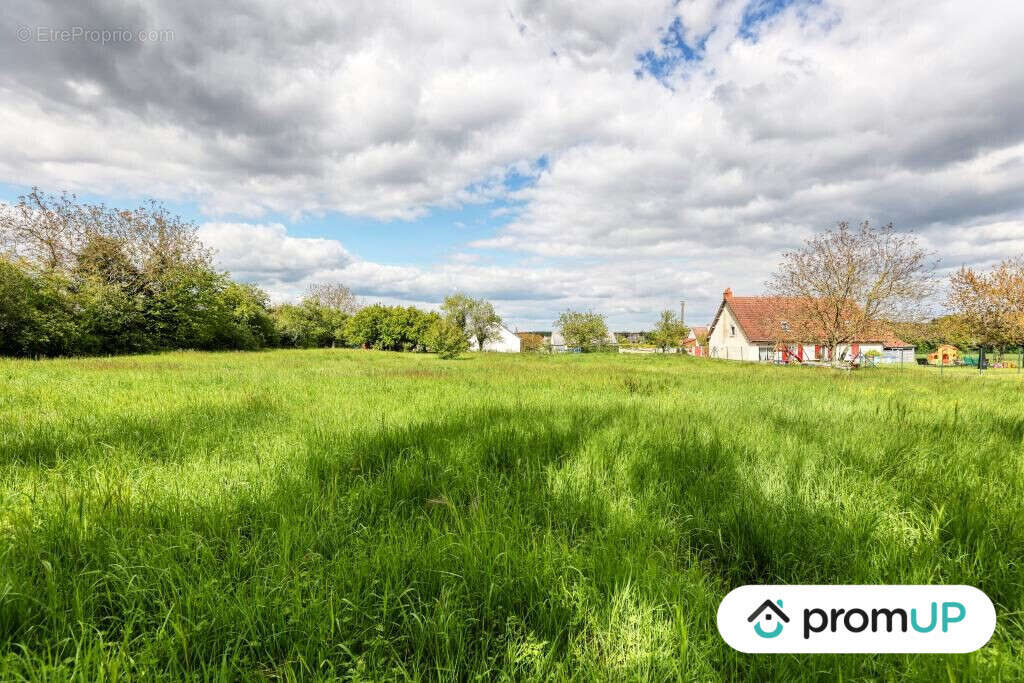 Terrain à NOHANT-EN-GOUT