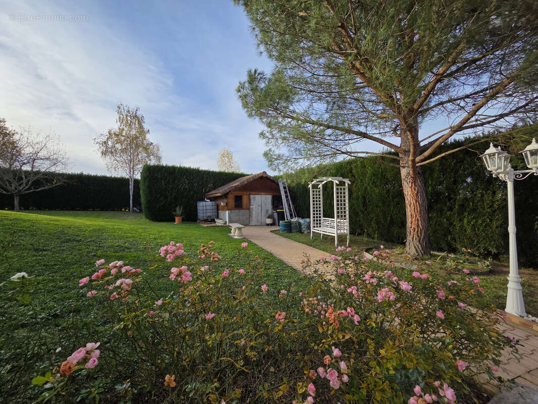 Maison à BELLERIVE-SUR-ALLIER