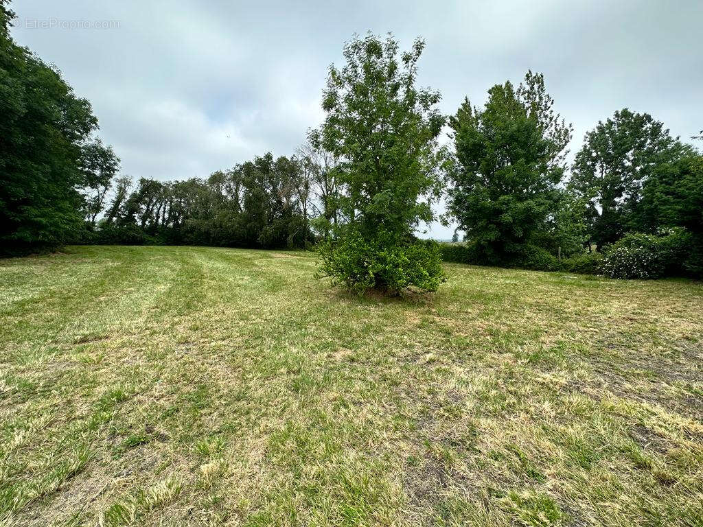 Maison à SAINT-DIZANT-DU-BOIS