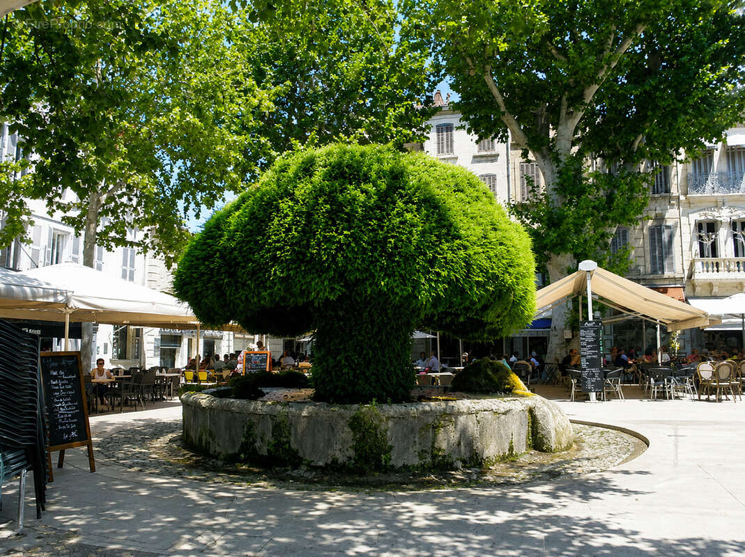 Terrain à SALON-DE-PROVENCE