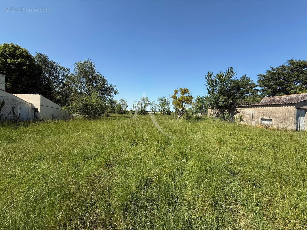Terrain à LE POIRE-SUR-VELLUIRE