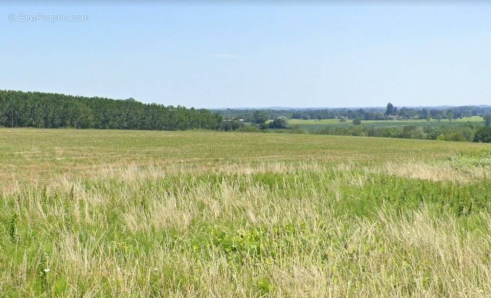 Terrain 3000 m² à Latresne  - photo 1
